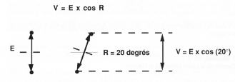 minichiello04.jpg (3981 octets)