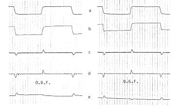 go1sep4.jpg (12909 octets)