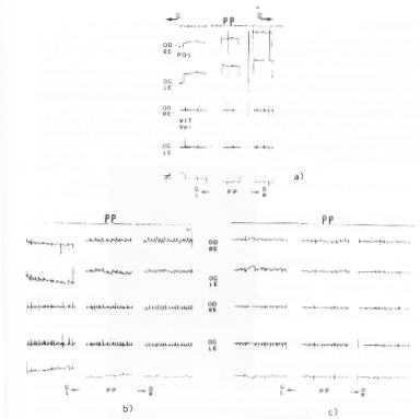 spielmann1.jpg (10846 octets)