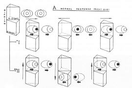 gracis04.jpg (8913 octets)