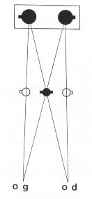 muller101.jpg (4617 octets)