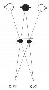muller102.jpg (5695 octets)
