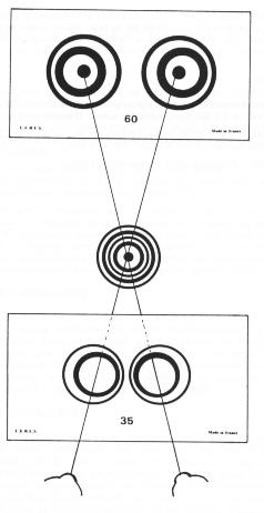 muller106.jpg (14227 octets)