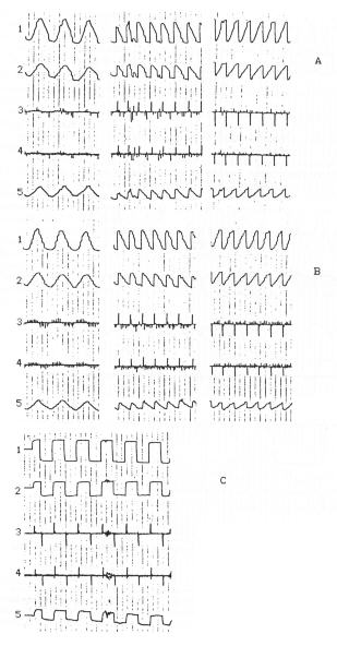 munck201.jpg (37676 octets)