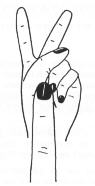 thiollet01.jpg (3504 octets)