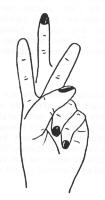thiollet02.jpg (3940 octets)
