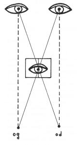 thiollet03.jpg (6219 octets)
