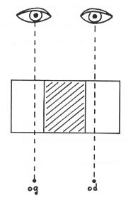 thiollet04.jpg (6763 octets)