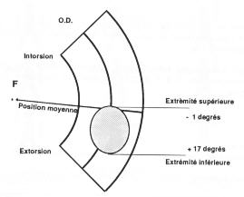 weiss1003.jpg (7174 octets)