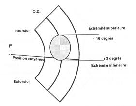 weiss1004.jpg (7456 octets)