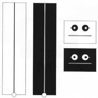 weiss1301.jpg (10556 octets)