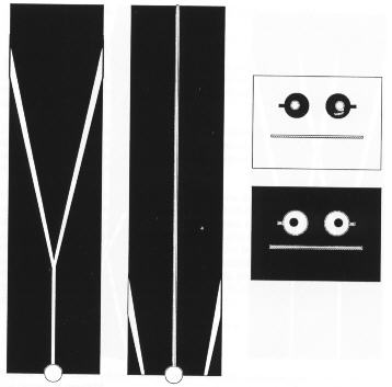 weiss1304.jpg (12961 octets)