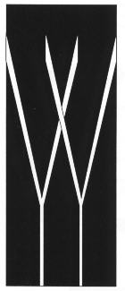 weiss1305.jpg (6694 octets)