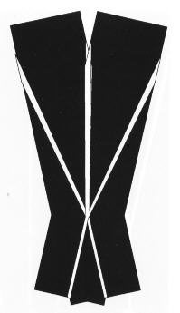 weiss1306.jpg (7882 octets)