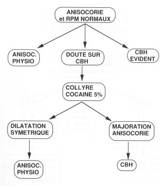 laloum01.jpg (15751 octets)