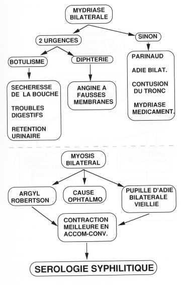 laloum04.jpg (33194 octets)