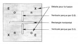 weiss0101.jpg (6142 octets)