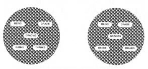 weiss0802.jpg (12001 octets)