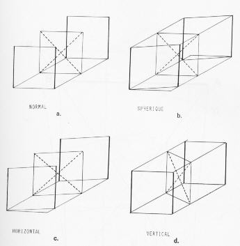 thiollet1982fig01.jpg (12772 octets)
