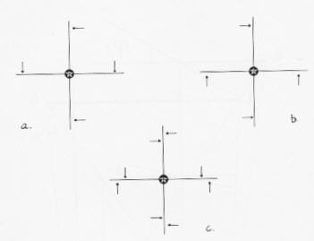 thiollet1982fig04.jpg (4229 octets)
